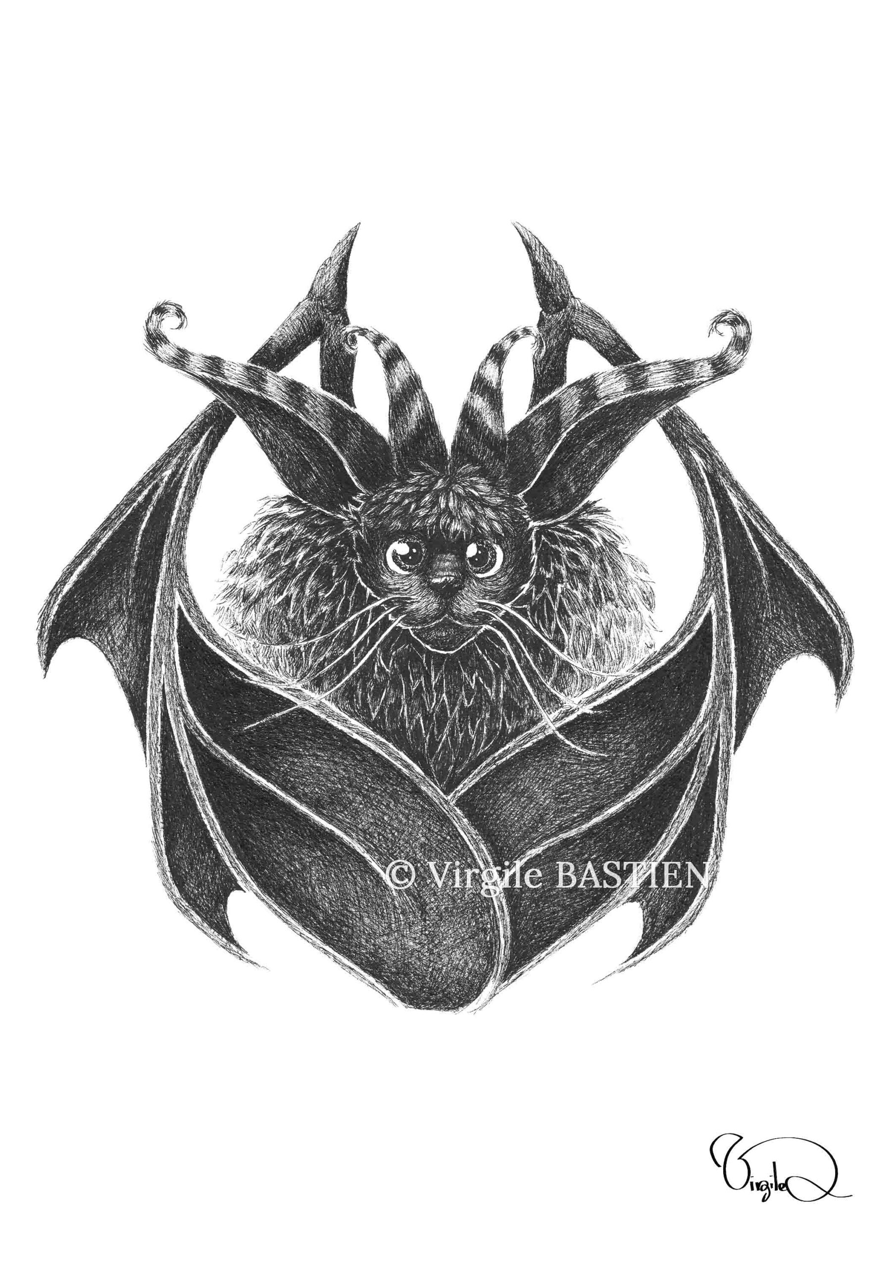 Virgile Bastien - BatCat©