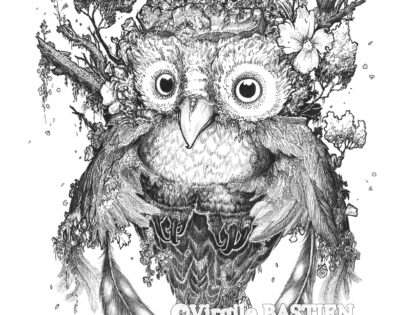 Whowl
