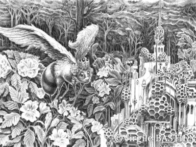 Virgile Bastien - La Ruchesse©