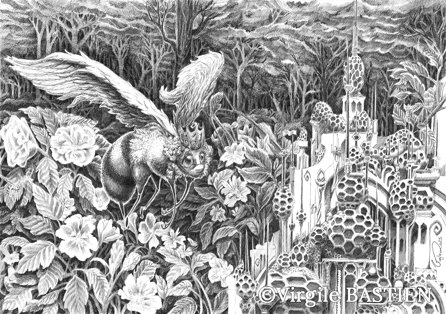 Virgile Bastien - La Ruchesse©