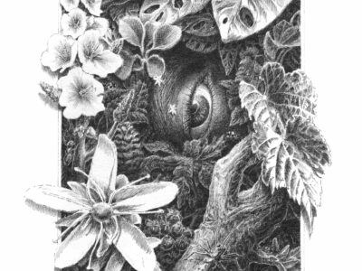 Virgile Bastien - Trompe f'oeil©