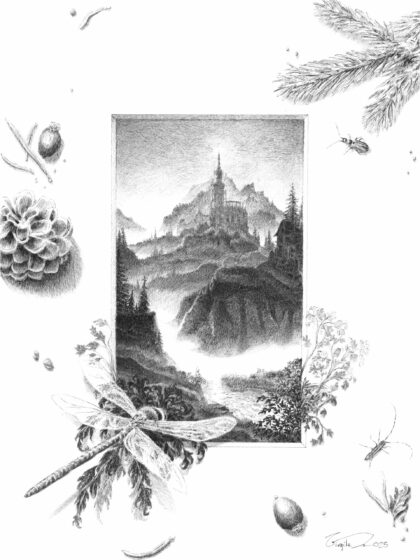 Virgile Bastien - Libellule