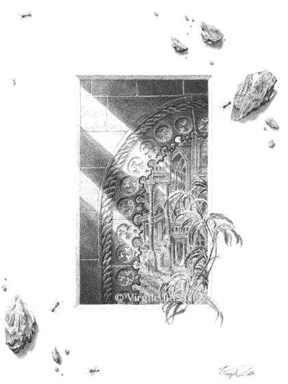 Virgile Bastien - Lucarne©