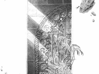 Virgile Bastien - Lucarne©