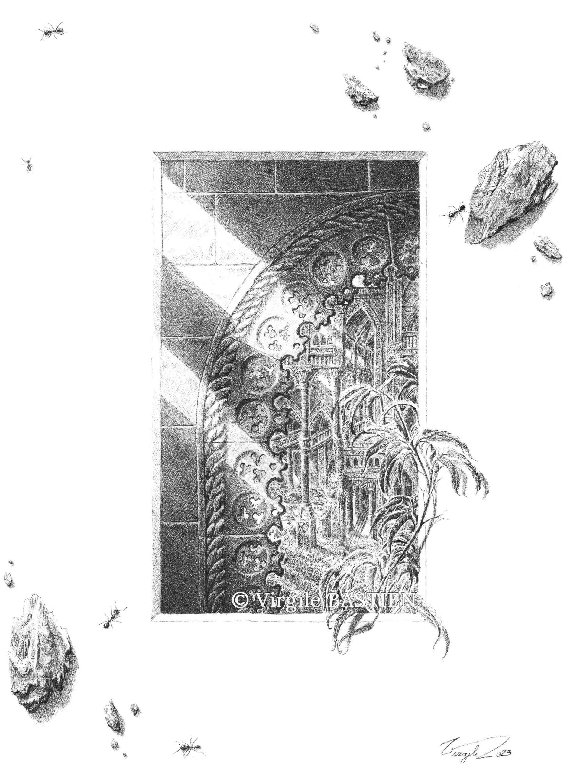 Virgile Bastien - Lucarne©